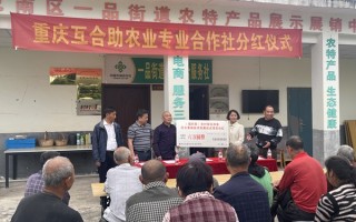 供销合作社，供销合作社属于什么单位性质