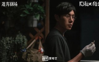 悬疑短剧红梅在线观看，悬疑短剧红梅在线观看全集