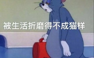 金钱文案沙雕，金钱文案沙雕搞笑
