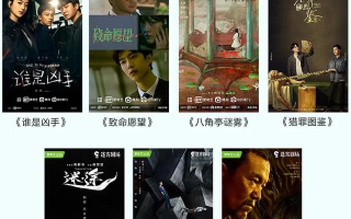 国外反转悬疑短剧大全集，国外反转悬疑短剧大全集在线观看