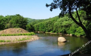 森林河流游玩攻略，森林河流游玩攻略大全