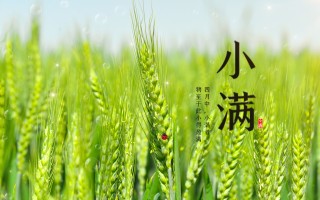 小满游玩攻略，小满游玩攻略大全