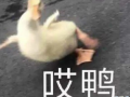 搞笑文案沙雕文案7，搞笑文案大全 爆笑