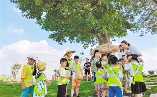 暑假学生南京游玩攻略，暑假学生南京游玩攻略图片