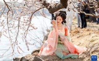 桃花穿搭汉服，桃花穿搭汉服图片
