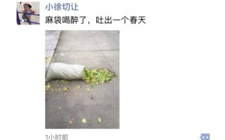 张家界文案沙雕，张家界 文案