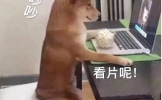 沙雕老公 文案，沙雕老公 文案短句