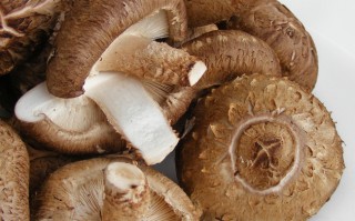 香菇多糖，香菇多糖的主要作用与用途