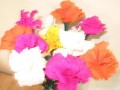 康乃馨的花语，康乃馨的花语和象征意义